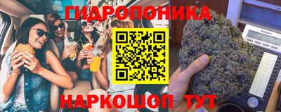 jwh Ярославль