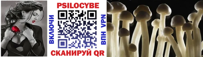 купить закладку  Алексеевка  Галлюциногенные грибы Cubensis 