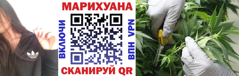 Бошки марихуана Amnesia  Алексеевка 
